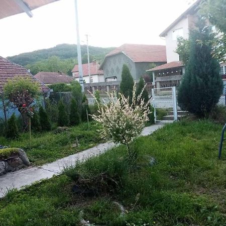 Apartmani Lina Ribarska Banja Esterno foto